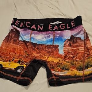 American Eagle Outfitters Scenic Boxer Briefs - Multicolor